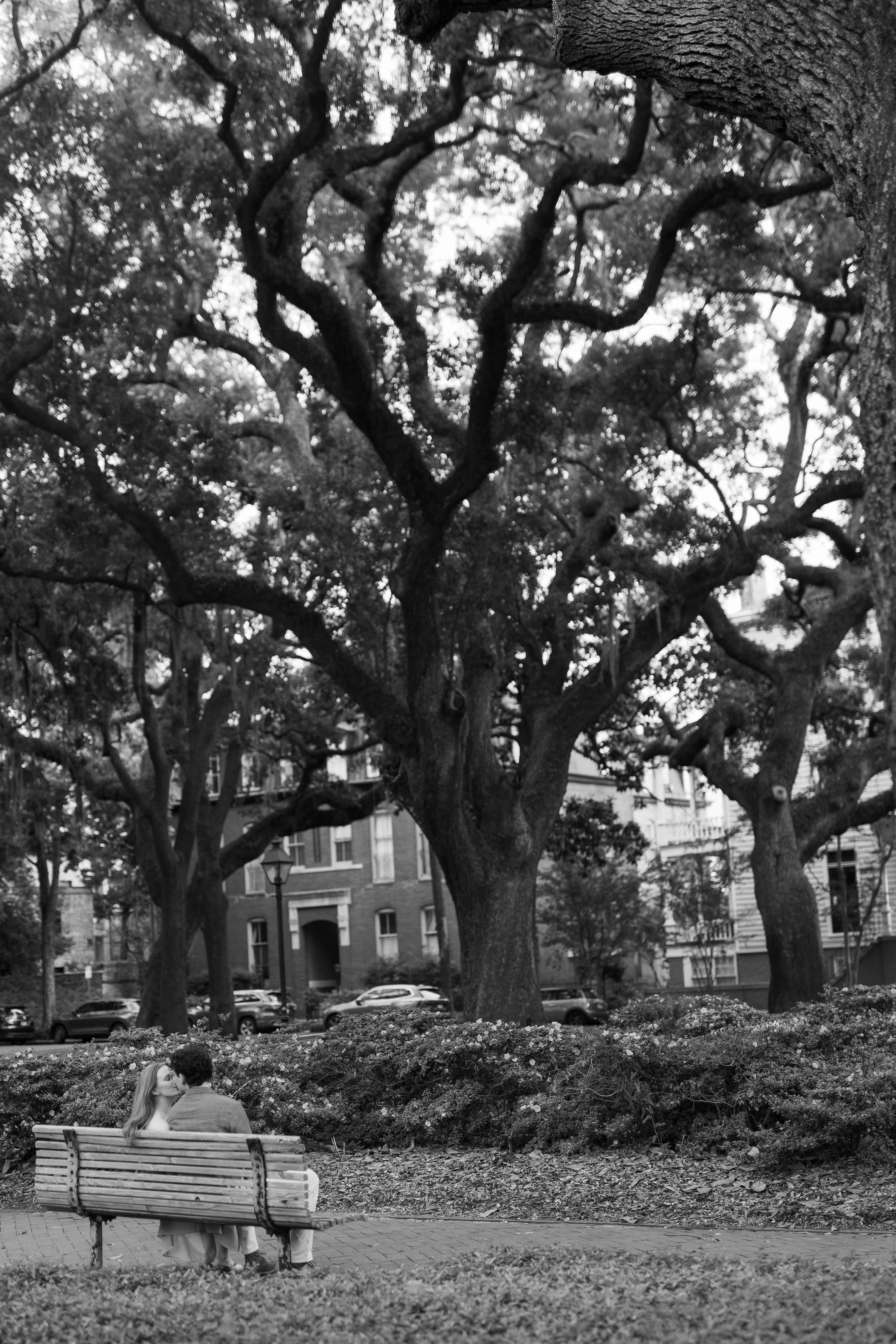 Morgan and Brendan in a timeless engagement photograph